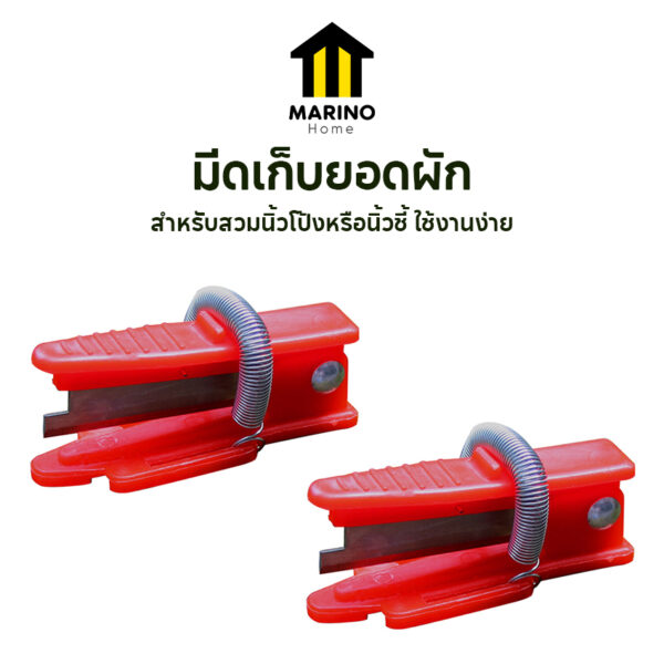 Marino Home แพ็ค 12 ชิ้น มีดตัดยอด มีดเก็บยอดผัก ยอดอ่อนชา แบบสวมนิ้ว No.Y2138