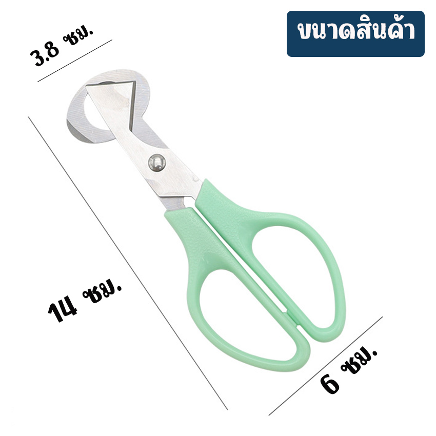 Marino Home แพ็ค 10 ชิ้น กรรไกรตัดเปลือกไข่นกกระทา กรรไกรตัดเปลือกไข่ขนาดเล็ก No.Y1186 - Image 6